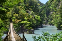 2014 春 夢の吊橋(静岡県榛原郡川根本町)