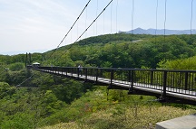 2015 春 つつじ吊橋(栃木県那須郡那須町)