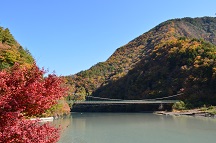 2017 秋 雨畑の吊橋(山梨県南巨摩郡早川町)