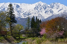 2019 春 大出吊橋(長野県北安曇郡白馬村)